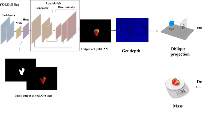 Paper on Real-Time Strawberry Mass Estimation Accepted to IROS 2025
